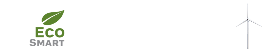 EcoSmart Website Hosting